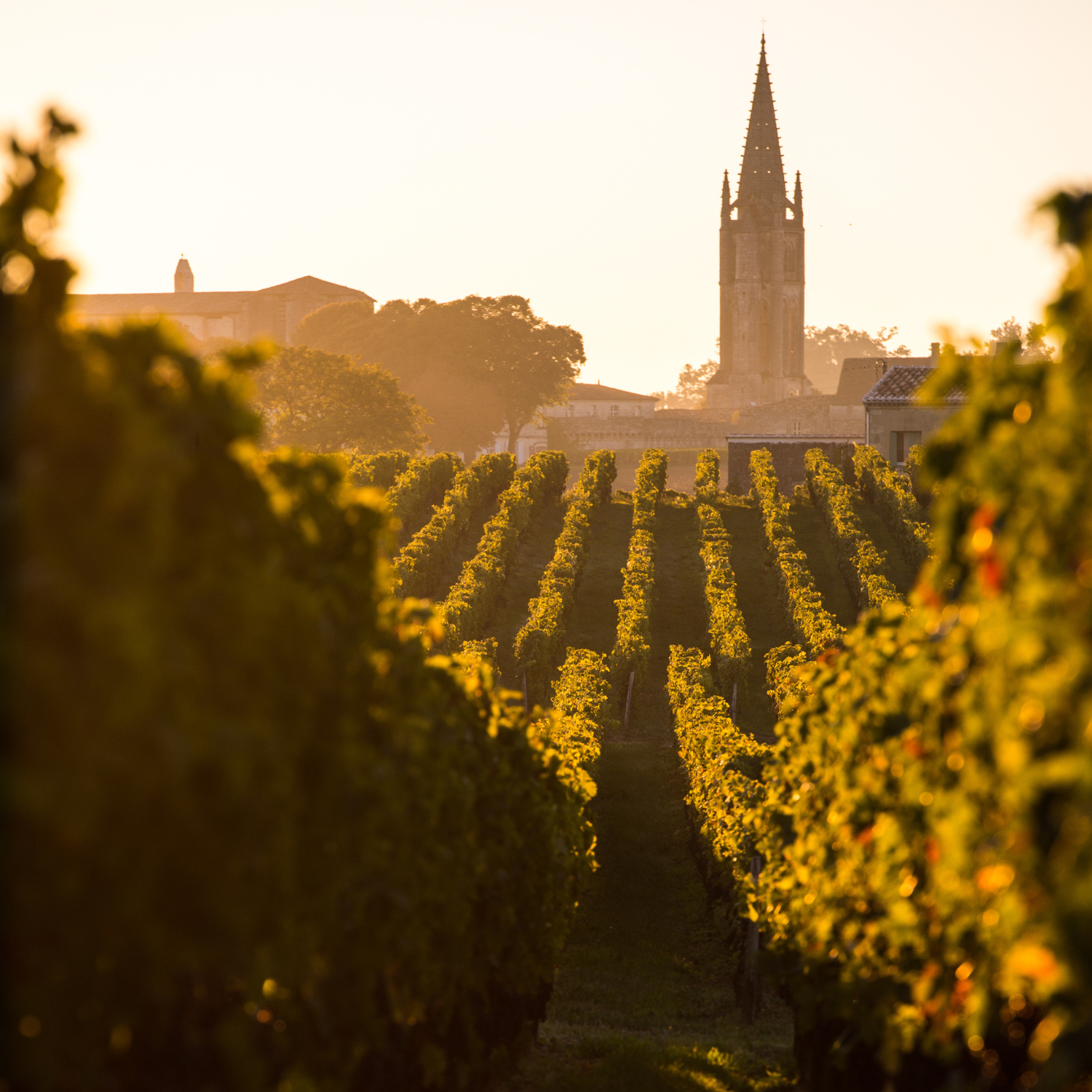 pizza a emporter bourgbarre